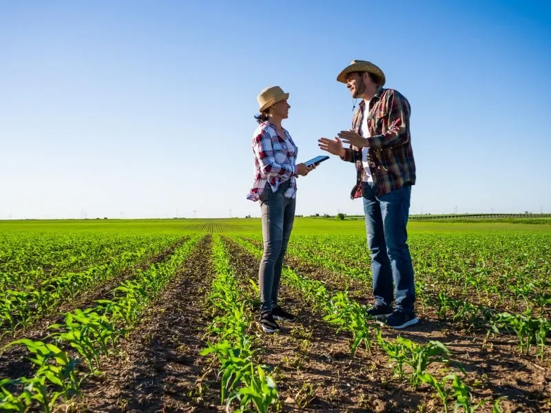 Casal de produtores conversando em pé na lavoura